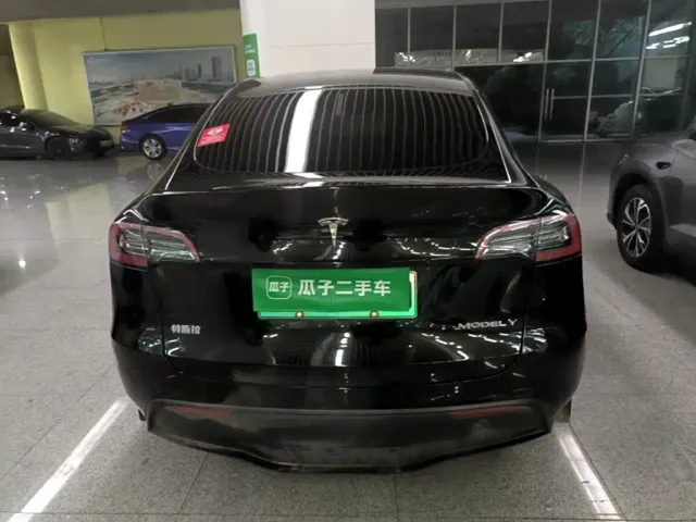 Tesla Model Y — Фото автомобиля 6