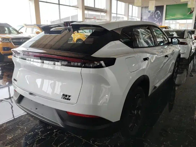 Dongfeng SKY EV01 — Фото автомобиля 6