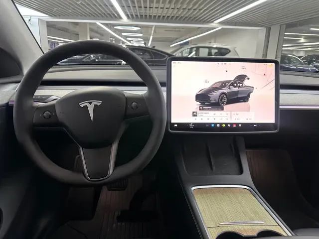 Tesla Model Y — Фото автомобиля 8