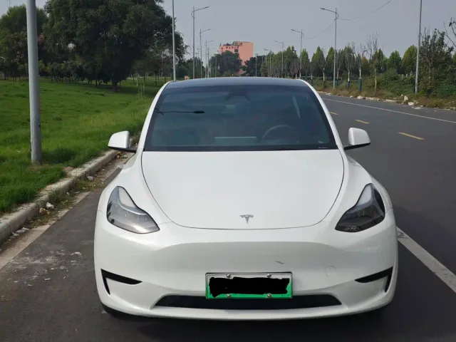 Tesla Model Y — Фото автомобиля 2