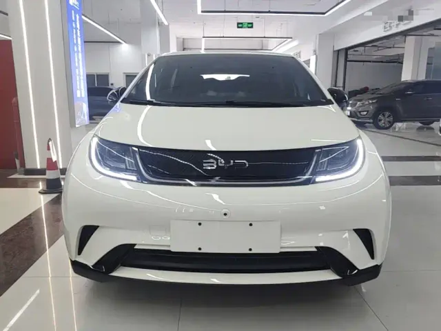 BYD Dolphin — Фото автомобиля 2