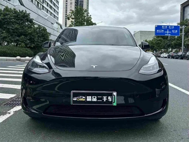 Tesla Model Y — Фото автомобиля 2