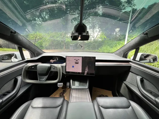 Tesla Model X — Фото автомобиля 10