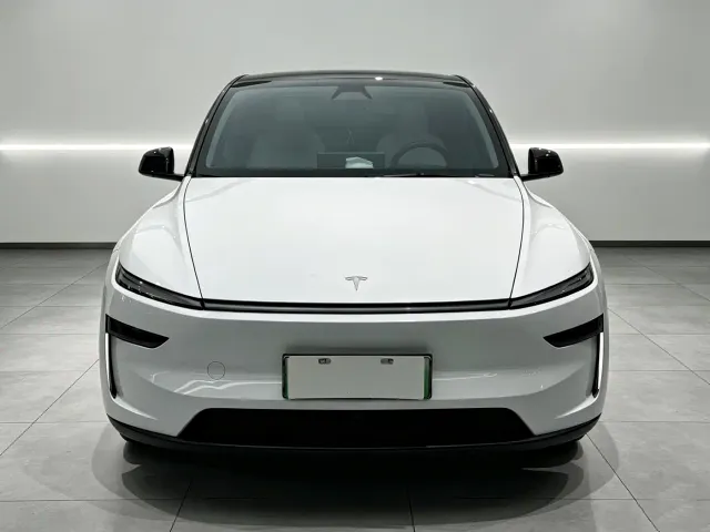Tesla Model Y — Фото автомобиля 2
