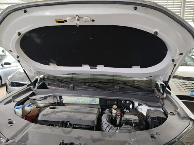 Chery Tiggo 9 — Фото автомобиля 19