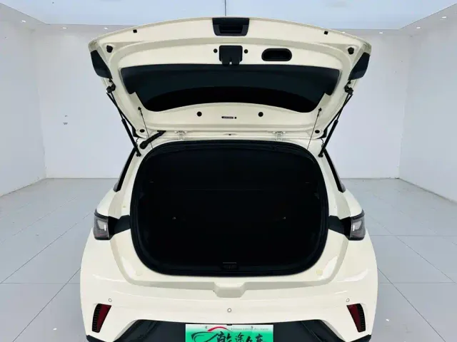 BYD Dolphin — Фото автомобиля 23