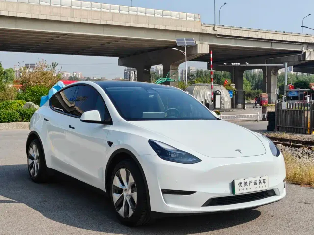 Tesla Model Y — Фото автомобиля 3