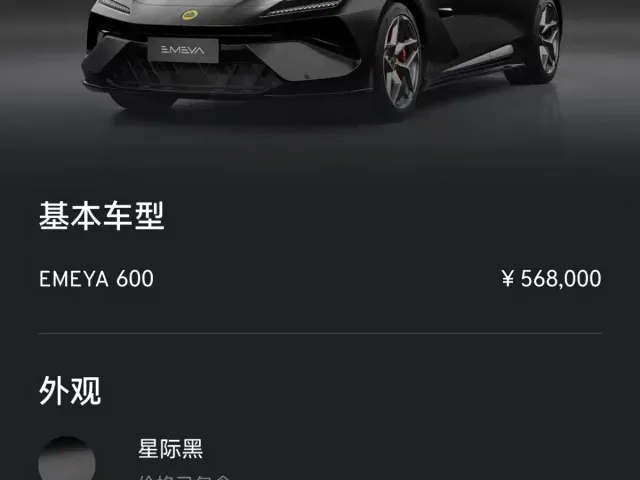 Lotus Emeya — Фото автомобиля 13