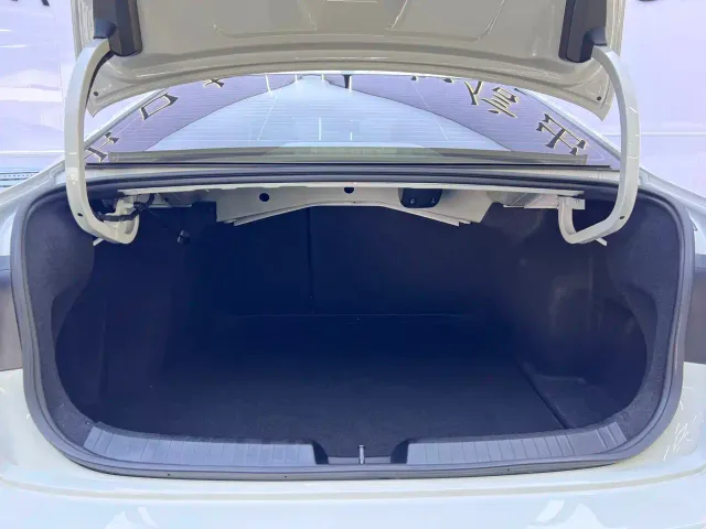 Volkswagen Sagitar — Фото автомобиля 17