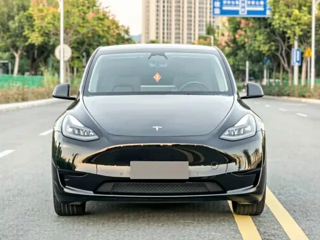 Tesla Model Y — Фото автомобиля 2