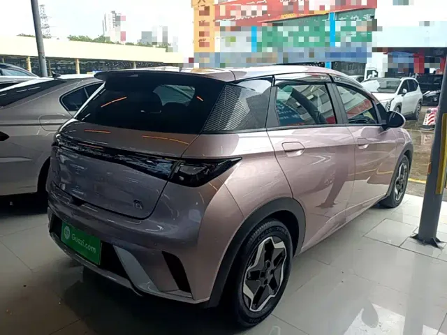 BYD Dolphin — Фото автомобиля 6