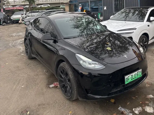 Tesla Model Y — Фото автомобиля 3