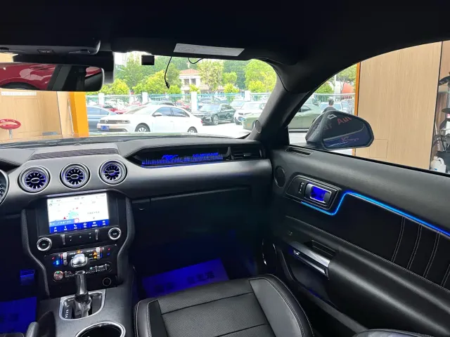 Ford Mustang — Фото автомобиля 15