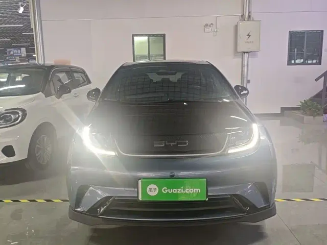 BYD Dolphin — Фото автомобиля 2