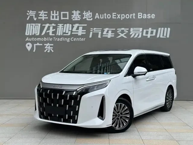 Фотография автомобиля — BYD M9