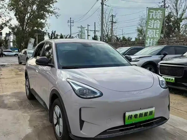 Фотография автомобиля — Geely Starry Wish