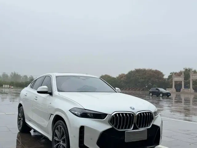 BMW X6 — Фото автомобиля 5