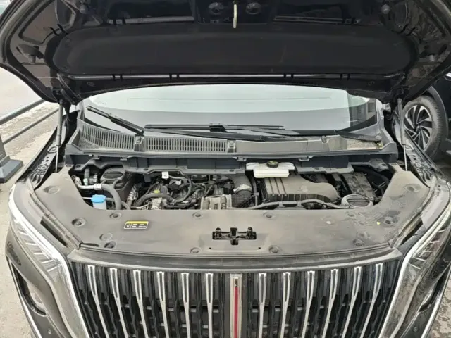 Hongqi Hongqi HQ9 PHEV 2024 Model 2.0T AWD Business Edition — Фото автомобиля 19