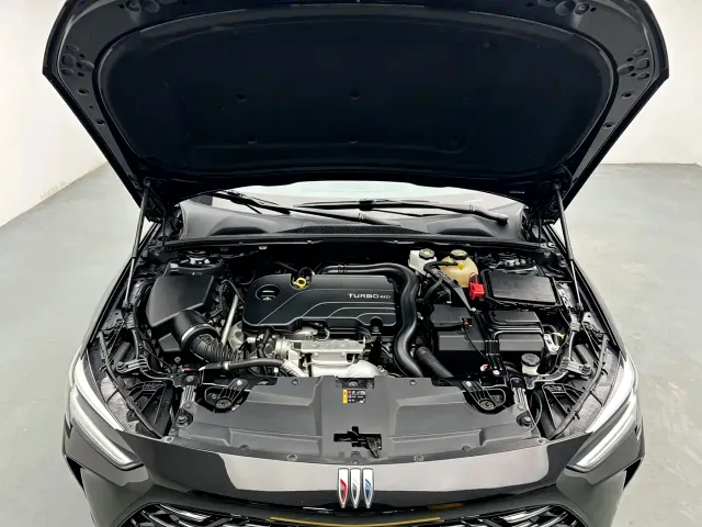 Buick Regal — Фото автомобиля 11