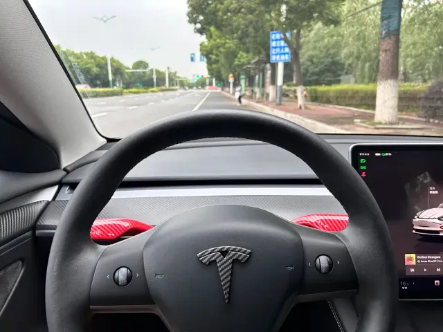Tesla Model 3 — Фото автомобиля 13