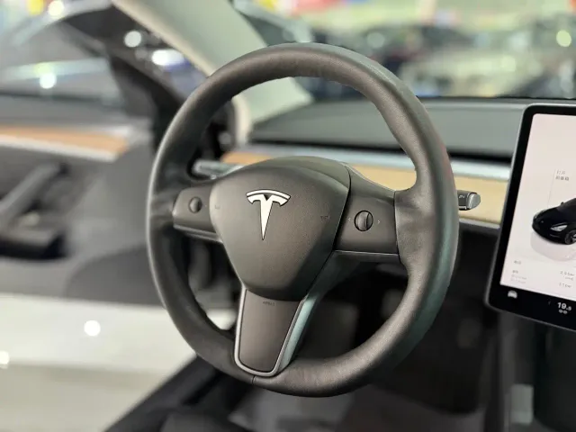 Tesla Model 3 — Фото автомобиля 11