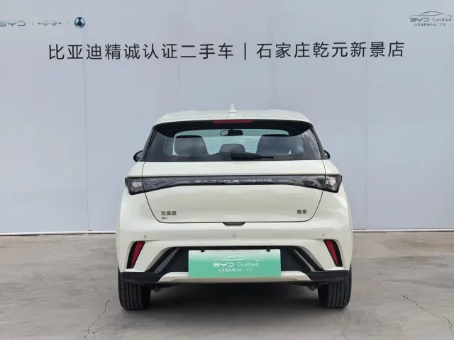 BYD Dolphin — Фото автомобиля 4