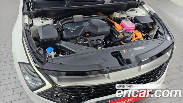 Kia Sportage — Фото автомобиля 6