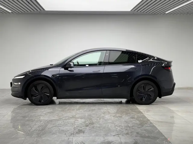 Tesla Model Y — Фото автомобиля 7