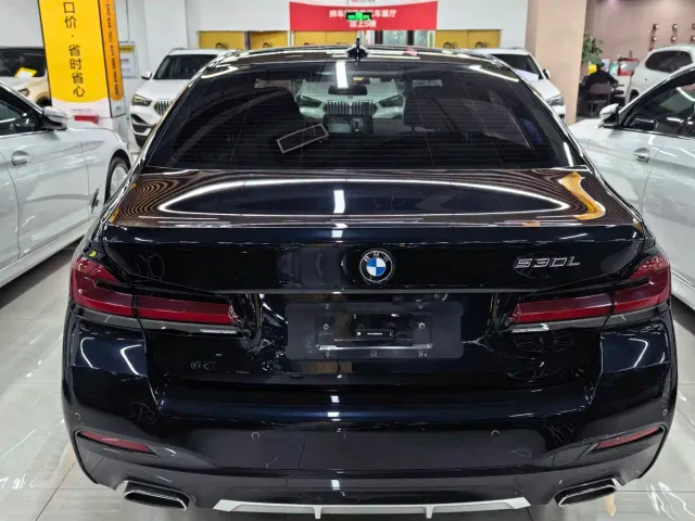 BMW 5 Series — Фото автомобиля 14