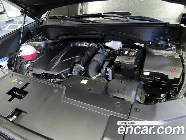 Hyundai Santa Fe MX5 — Фото автомобиля 19