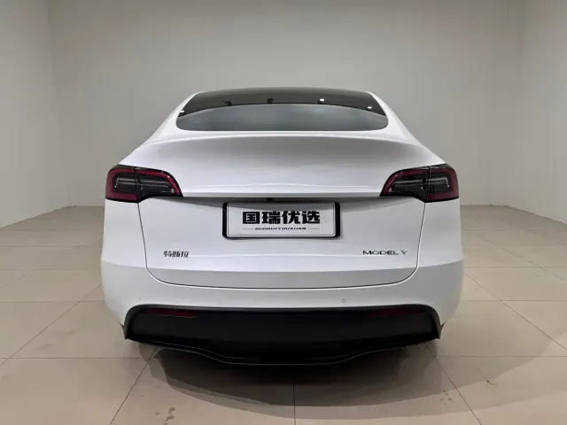 Tesla Model Y — Фото автомобиля 5