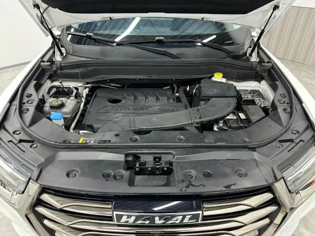 Haval Haval H6 2021 National Trend Edition 1.5T Automatic Urban Edition — Фото автомобиля 19