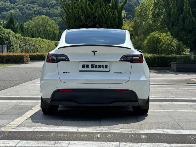 Tesla Model Y — Фото автомобиля 6