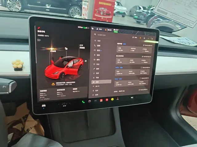 Tesla Model 3 — Фото автомобиля 12