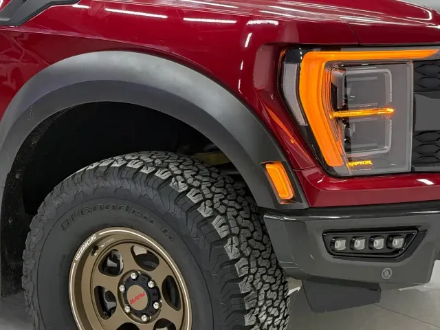 Ford F-150 Raptor — Фото автомобиля 21