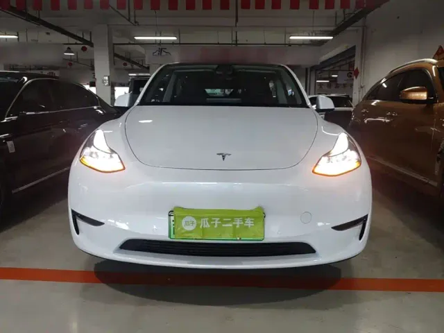 Tesla Model Y — Фото автомобиля 2