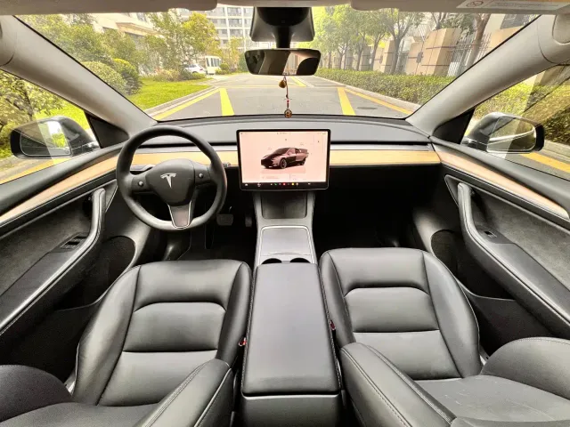 Tesla Model Y — Фото автомобиля 7