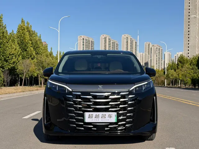 BYD Xia — Фото автомобиля 2