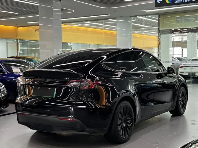Tesla Model Y — Фото автомобиля 3