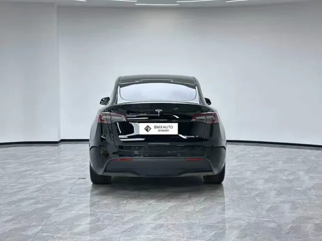 Tesla Model Y — Фото автомобиля 6
