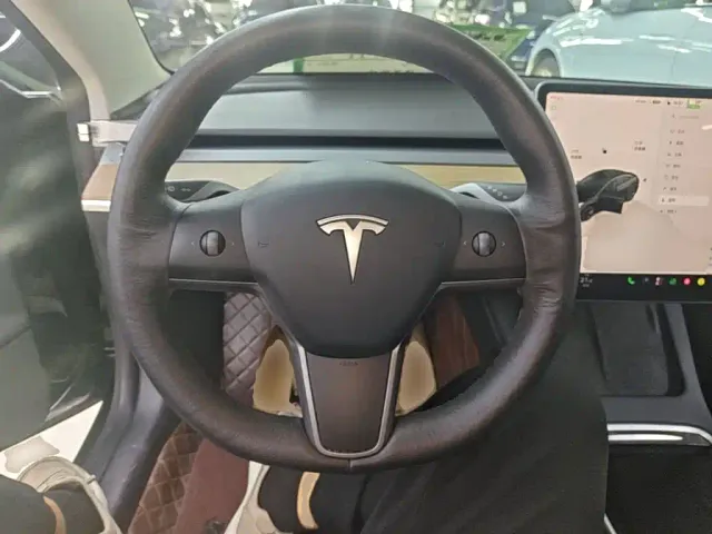 Tesla Model 3 — Фото автомобиля 10