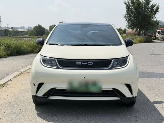 BYD Dolphin — Фото автомобиля 5