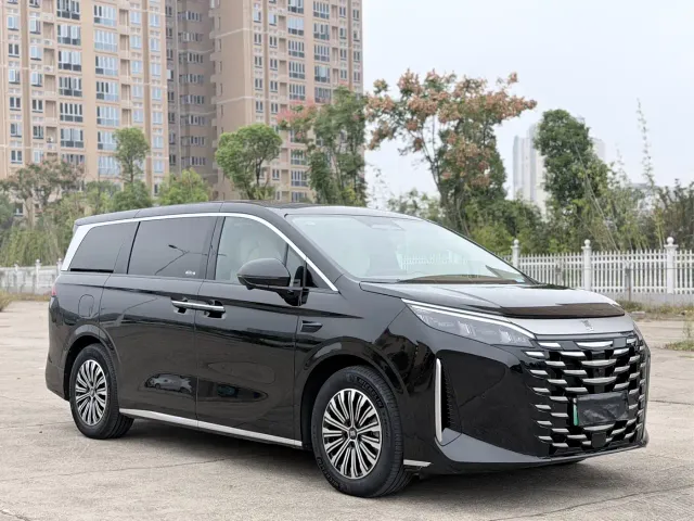 BYD Xia — Фото автомобиля 3