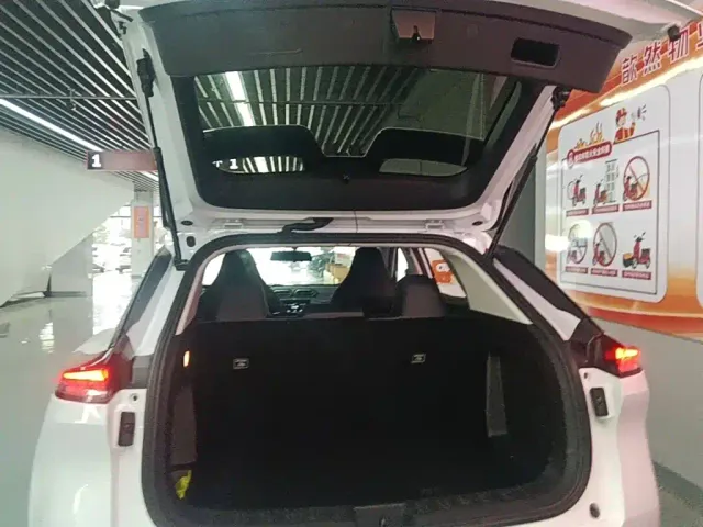 Dongfeng SKY EV01 — Фото автомобиля 18