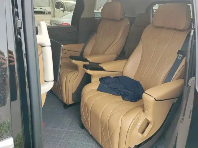 Denza Denza D9 2022 DM-i 970 All-Wheel Drive Honor Edition — Фото автомобиля 11