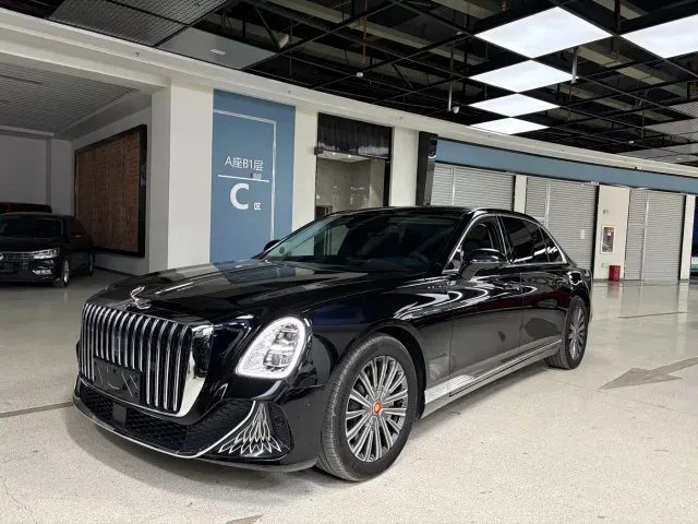 Фотография автомобиля — Hongqi Guoya