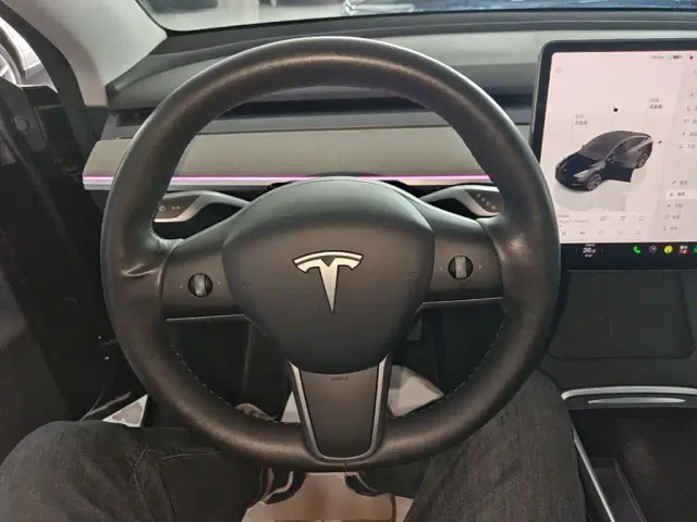Tesla Model Y — Фото автомобиля 10