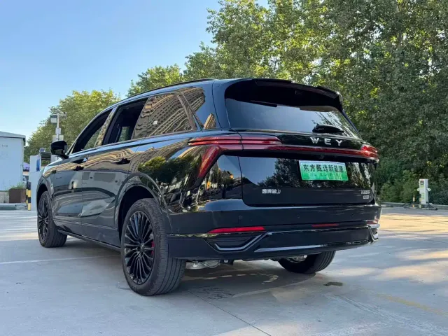 Wey Lanshan — Фото автомобиля 13