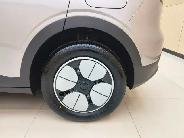 Geely Starry Wish — Фото автомобиля 19