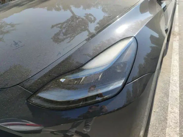 Tesla Model Y — Фото автомобиля 5